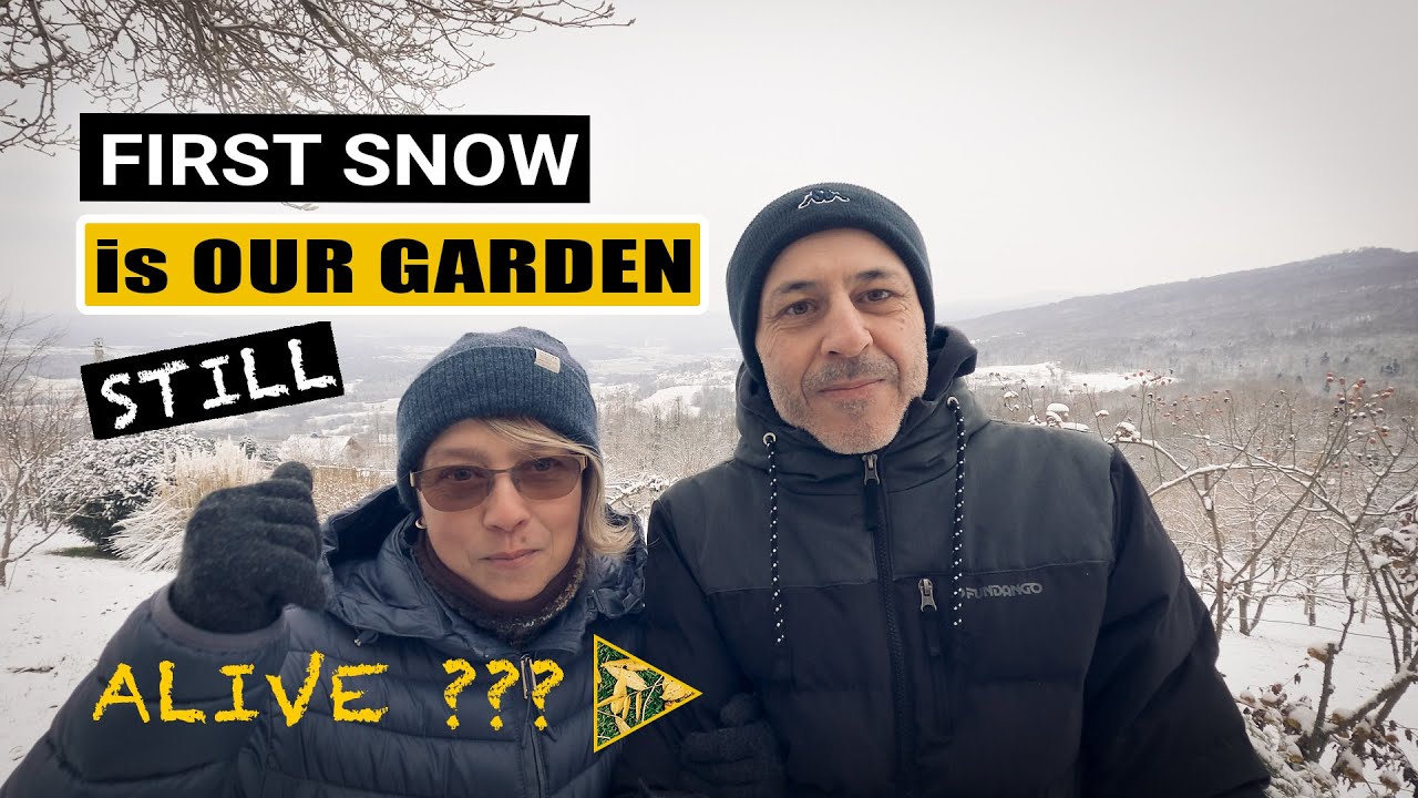 What Happened to our Garden after the First Snow?