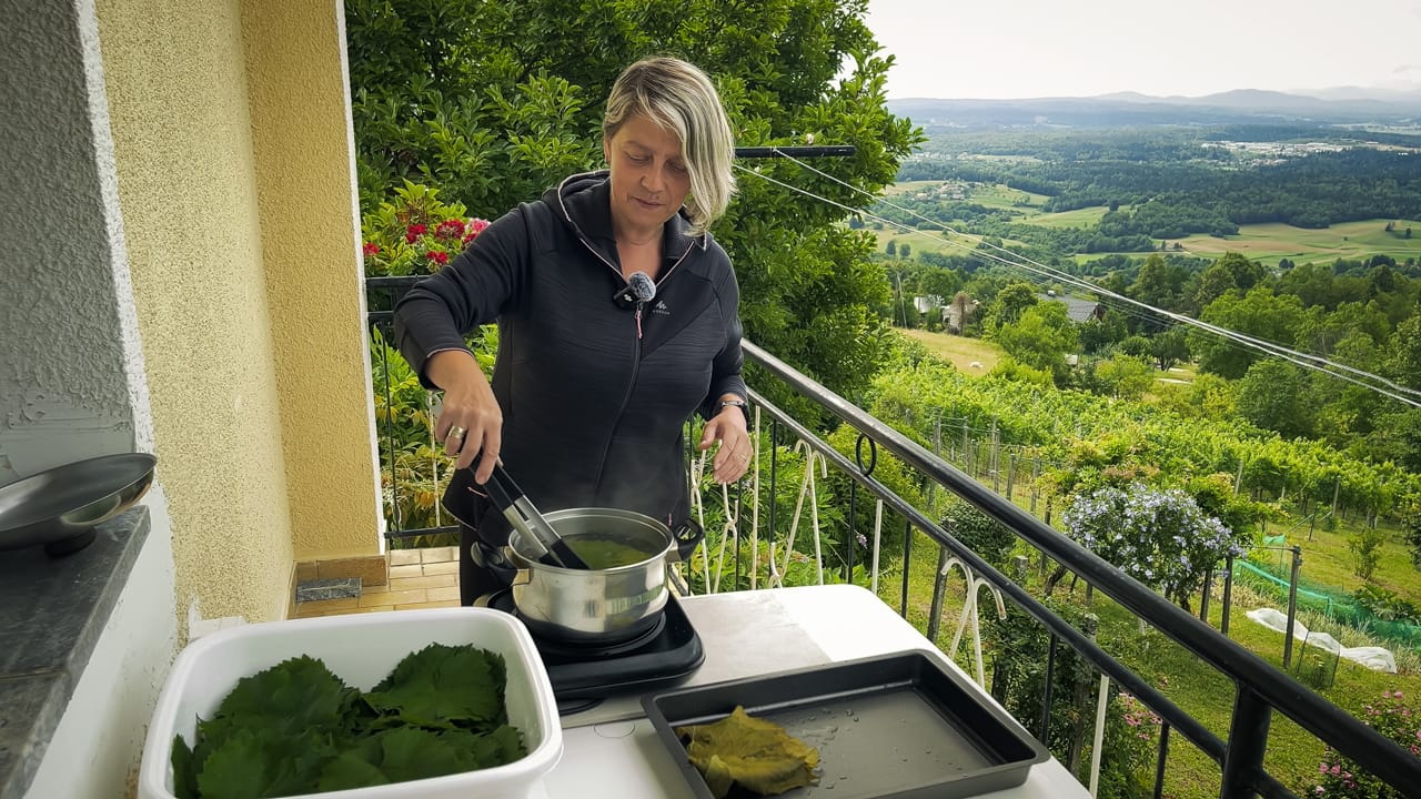 Vine Leaves are Delicious Free food, Don’t Throw them Away!