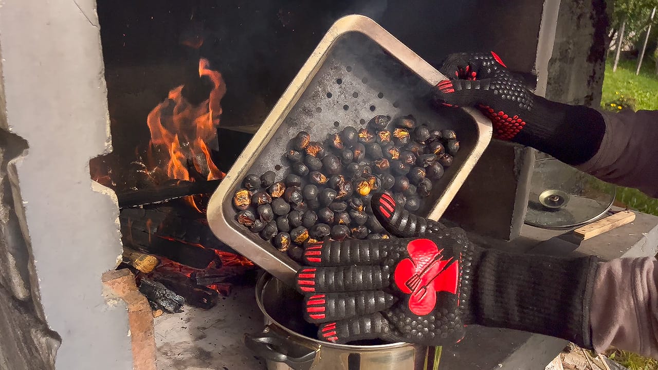 A Day in the Forest - Foraging Chestnuts and Roasting them on an Open Fire