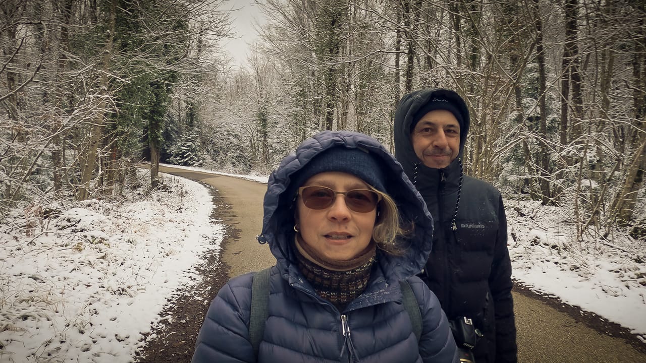 The Alps Look Magical in Winter! Join us in the Snowy Forest