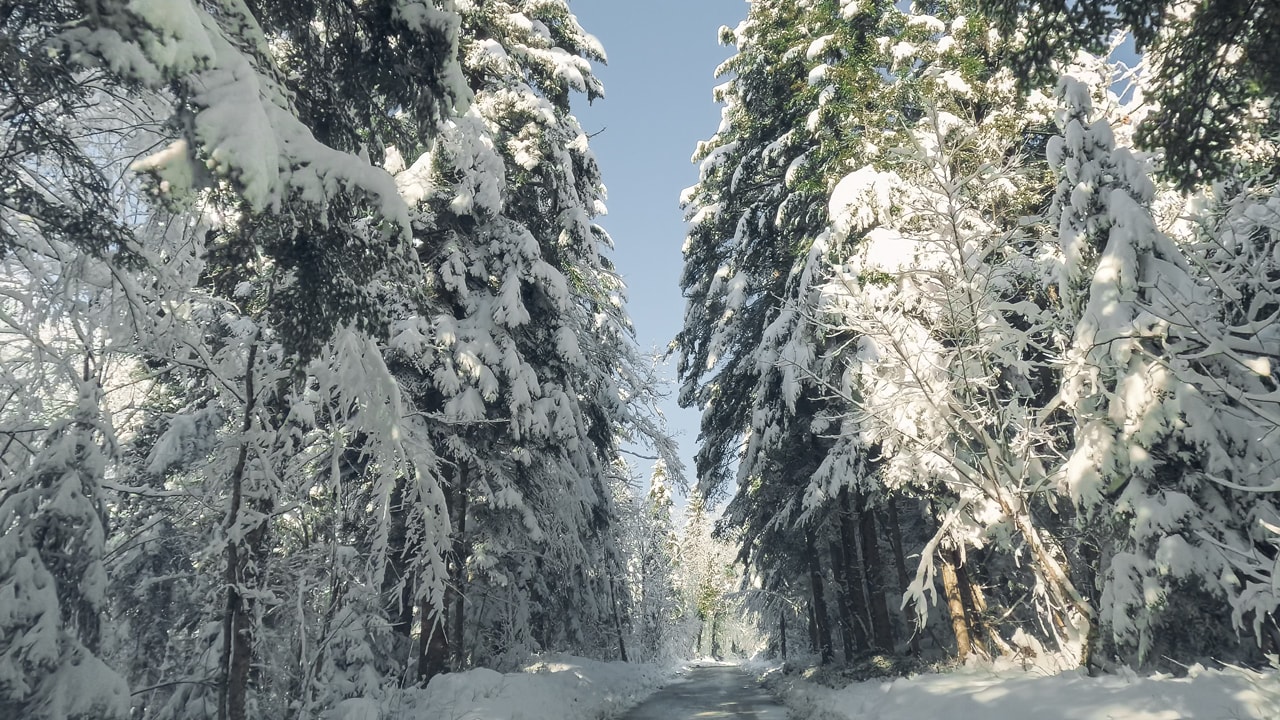 Driving Through Half a Meter of Snow in Slovenian Alps
