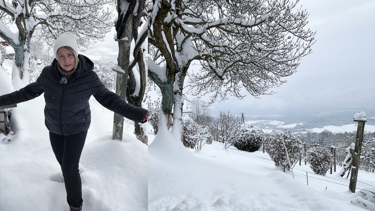 How the New Year Started in Our Slovenian Home